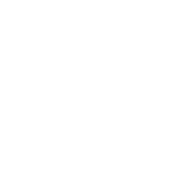 03 03